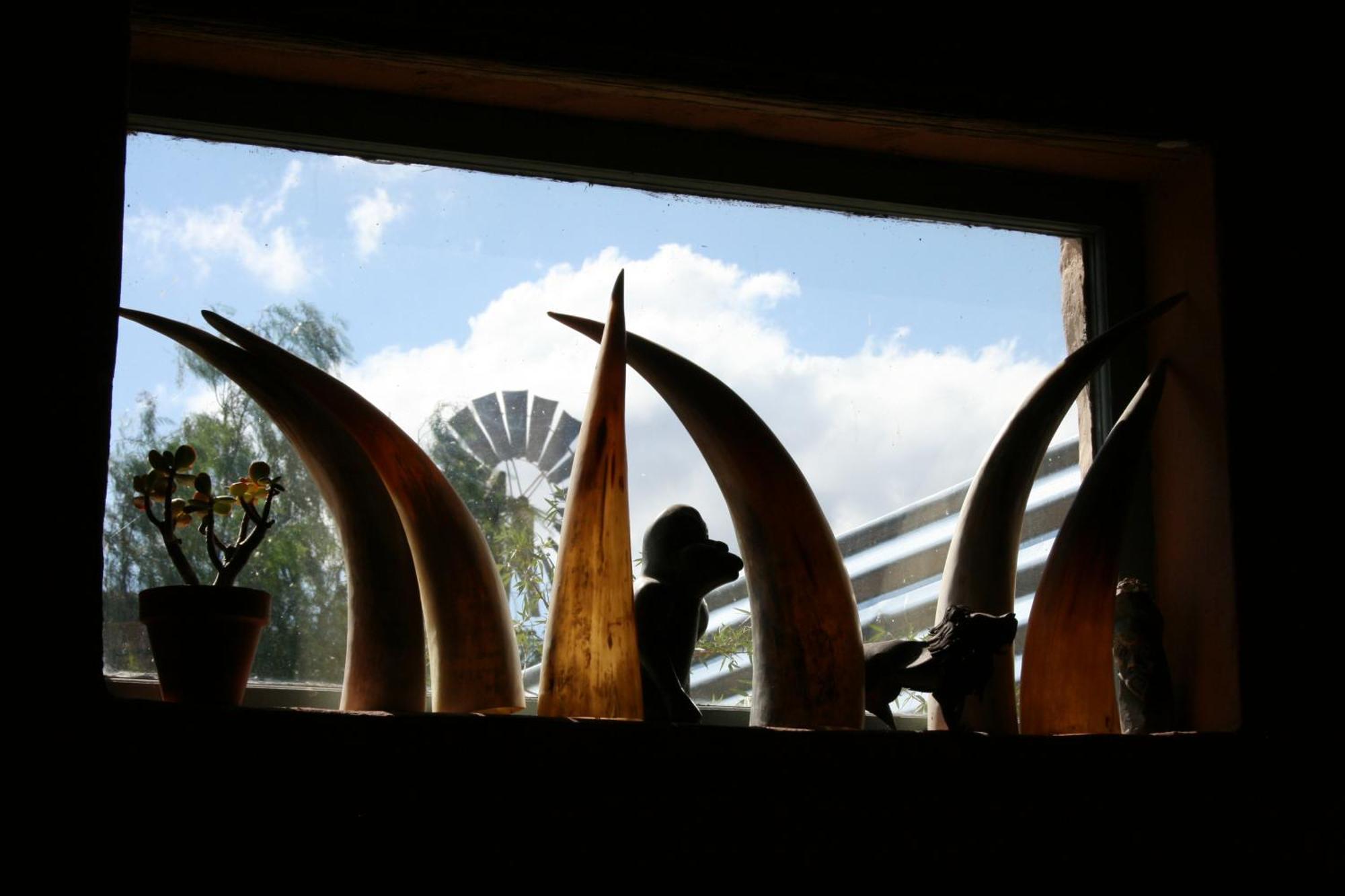 Wolverfontein Karoo Cottages Ladismith Exteriér fotografie