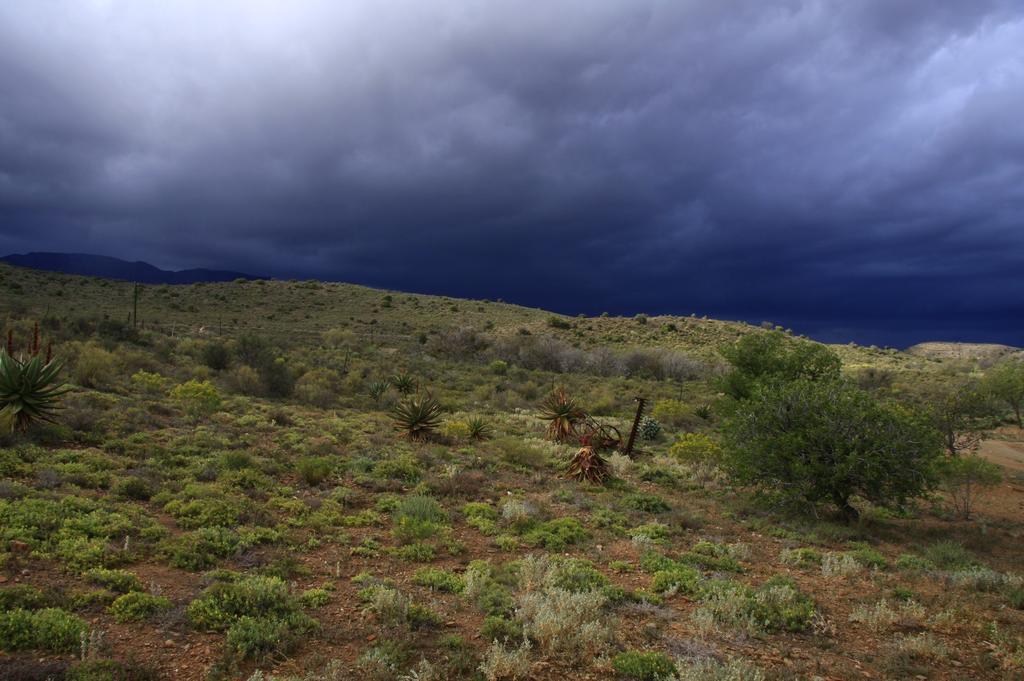 Wolverfontein Karoo Cottages Ladismith Exteriér fotografie